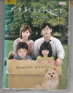 DVD レンタル版 　全5巻セット　ケースなし　犬を飼うということ スカイと我が家の180日 錦戸亮 杉本哲太 水川あさみ