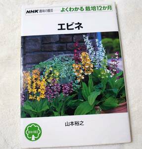 送料無料★エビネ 海老根 よくわかる栽培12か月　 山本裕之　　12ヶ月　NHK 趣味の園芸 ガーデニング