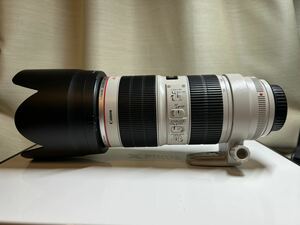 Canon EF70-200mm F2.8L IS II USM