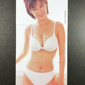 日向 美穂 SRQ PREMIUM 02 49・50・51 3枚セット レースクイーン グラビア アイドル トレカ トレーディングカード の画像2