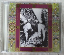 PAINKILLER 秘罪 廃盤国内盤中古CD ペインキラー buried secrets pain killer john zorn bill laswell NAKED CITY NAPALM DEATH TFCK-88569_画像1