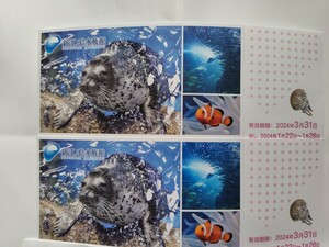 新江ノ島水族館 ご招待券ペア　2024年3月末まで