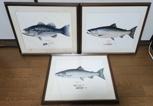 桜椽 東四 額装 額縁 アート 魚の絵 絵画 ブラックバス シルバーサーモン キングサーモン ルアー フィッシング サイズ 横45縦37.5高さ2.6 