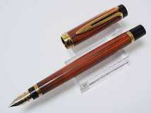 ★【希少】ウォーターマン リエゾン エボナイト 18K-750 万年筆★WATERMAN 木目調 マーブルエボナイト 生産終了品_画像10