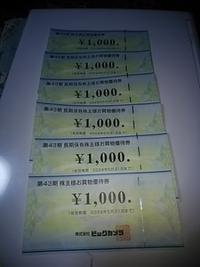 ビックカメラ株主様お買物優待券1000円券６枚