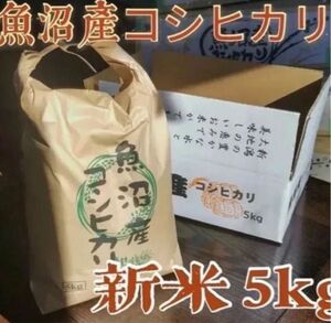 魚沼産 コシヒカリ 白米 ★ 新米5キロ ★ 棚田米 令和5年