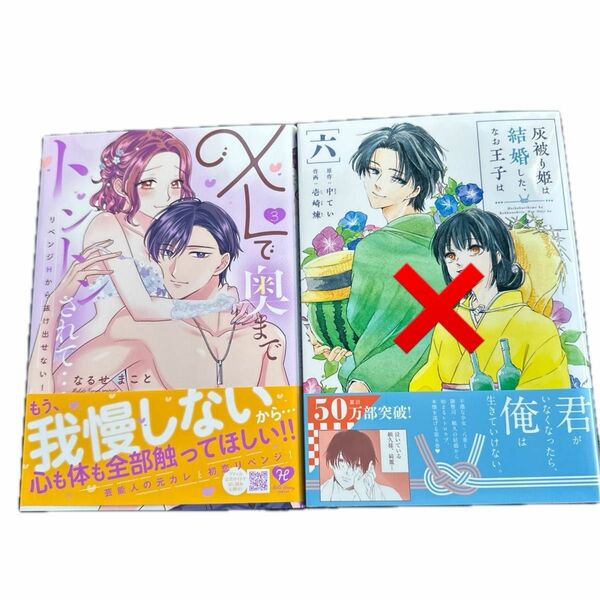 XLで奥までトントンされて…リベンジHから抜け出せない! 3／灰被り姫は結婚した、なお王子は６