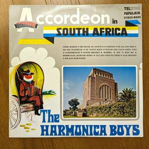 The Harmonica Boys - Accordeon In South Africa