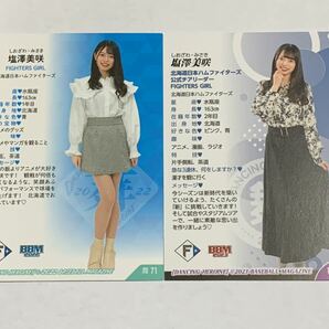 塩澤美咲 2022 2023 BBM チアリーダー 舞 レギュラーカード 2枚セット 日本ハム FIGHTERS GIRL きつねダンスの画像2