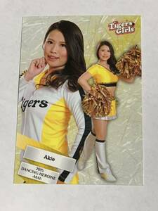 Akie 2015 BBM チアリーダー 舞 #75 阪神 Tigers Girls 即決