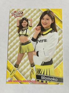 Momoko 2019 BBM チアリーダー 舞 #81 阪神 Tigers Girls 即決