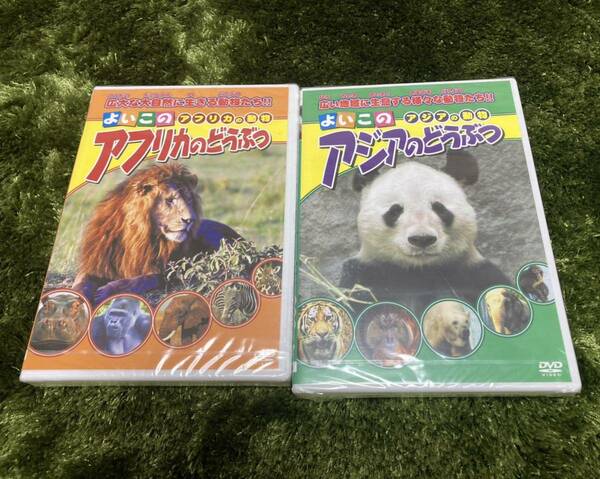 DVD2本セット　どうぶつ　未開封