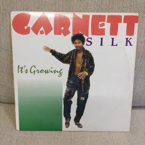 GARNETT SILK【 It's Growing】