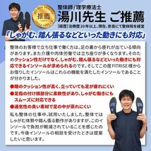 二七一白39-40/ 2足セット インソール 衝撃吸収 中敷き 疲れにくい スポーツ 扁平足 足底筋膜炎 アーチサポート 土踏まず 疲れない 消臭_画像2