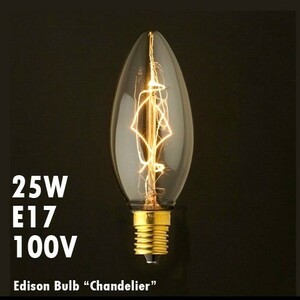 電球 レトロ おしゃれ エジソンバルブ シャンデリア 25W E17 Edison Bulb エジソン電球 インテリア 間接照明