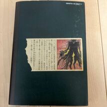 藤田和日郎【黒博物館 ゴーストアンドレディ 上下巻】初版 講談社 モーニングKC _画像7