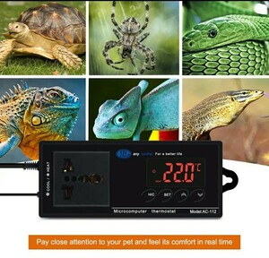  new goods unused Tey ticket Easy glow Thermo 2 point set /AC-112/ heating * cooling mode switch possible / pet accessories / small animals / reptiles / outer box * manual attaching free shipping 