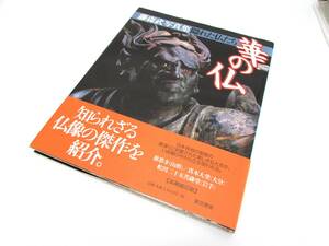 藤森武 写真集 隠れた仏たち 華の仏 1997年 初版 直筆サインあり 帯付き 東京美術 作品集 ハードカバー 本 書籍