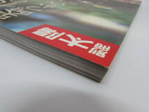 別冊太陽 白洲正子 骨董をたのしむ-16 花の器づかい 川瀬敏郎 1996年 12月号 No.16 平凡社 初版 雑誌 生け花 作品集 実用書 書籍_画像4