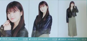 乃木坂46　生写真　３種コンプ　小川彩　レザーニットワンピ