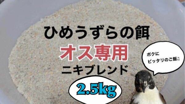 2.5kgオス用 ヒメウズラ ひめうずら餌 鳥 配合飼料 餌 ひめうずら ニキブレンド 姫鶉 うずら