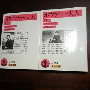 フローベール　ボヴァリー夫人　上下　岩波文庫