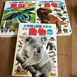 小学館の図鑑NEO 動物 昆虫　恐竜