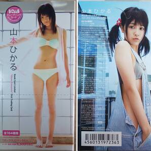 【送料無料】山本ひかる ◇ BOX付き ファースト・トレーディングカード ■ ボムカード・リミテッド 2010/BOMB/科捜研の女