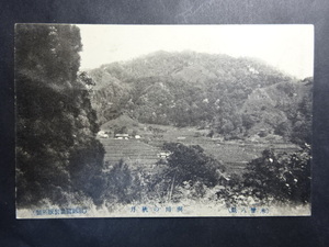 戦前 古絵葉書◆0323 木曽 與川の秋月 画像参照。