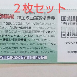 ★取引ナビで番号通知★ 株主映画鑑賞優待券 １０９シネマズ ムービル ２枚セット 24年5月期限の画像1