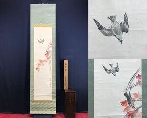 Art hand Auction Travail authentique/Ishii Kinryo/Feuilles d'érable et petits oiseaux/Feuilles d'érable et petits oiseaux/Fleurs et oiseaux/Parchemin suspendu☆Navire au trésor☆AF-21, Peinture, Peinture japonaise, Fleurs et oiseaux, Faune