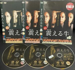 【匿名発送】DVD 連続ドラマW 震える牛 全3巻 レンタル落ち 送料230円 （DVDケースなし発送) 　　