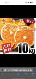 きよみオレンジ 訳あり 10kg 和歌山県産 送料無料(北海道、沖縄県、東北地方除く) 清見オ レンジ 清見タンゴール みかん ご自宅用