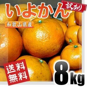 いよかん 伊予柑 訳あり 8kg 和歌山県産 送料無料(北海道、沖縄県、東北地方除く) 伊予柑 ご自宅用