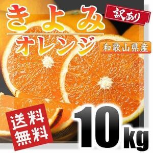 きよみオレンジ 訳あり 10kg 和歌山県産 送料無料(北海道、沖縄県、東北地方除く) 清見オ レンジ 清見タンゴール みかん ご自宅用