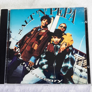SALT 'N' PEPA「VERY NECESSARY」＊女性ラップ・グループの草分けとして80年代半ばから活躍するSALT 'N' PEPAの1993年作・4thアルバム