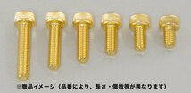 CFポッシュ C.F.POSH 24Kタンクキャップカバーボルトセット M5×8mm 2PCS / M5×22mm 3PCS 671805_画像1