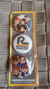 ■□SPEED ツアー グッズ 1998 RISE 缶バッヂ　売り切り□■