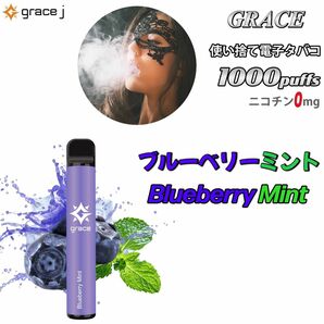 シーシャ 電子タバコ 使い捨て 1000回吸引 VAPE ベイプ 禁煙グッズ 水蒸気タバコ 禁煙パイポ ブルーベリーミント