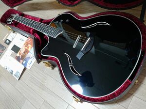 Taylor T5 Lefty LH レフティ レフトハンド 左利き 左用