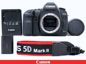 ◆極上美品◆Canon キャノン EOS 5D Mark II マーク2 ボディ◆少ないシャッター数13853ショット★ハイアマチュア35ｍｍフルサイズ一眼レフ