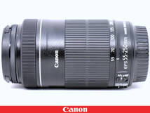 ★極美品★Canon キャノン EF-S55-250mm F4-5.6 IS STM◇フィルター フード 説明書付属☆使用少ない★軽量コンパクト望遠ズームレンズ_画像3