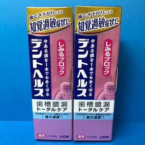 ライオン デントヘルス 薬用ハミガキ しみるブロック 85g 2個