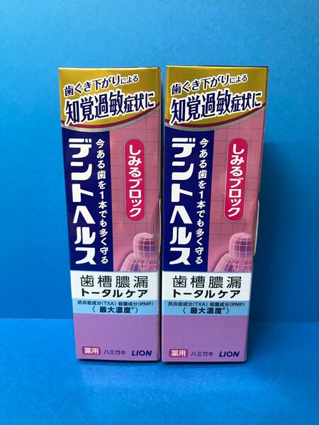 ライオン デントヘルス 薬用ハミガキ しみるブロック 85g 2個