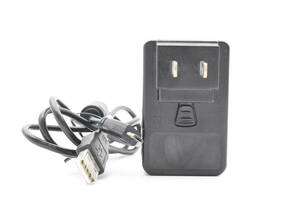 ★純正・良品★ RICOH USB Power Adapter AC-U1 充電器 (k-2794)