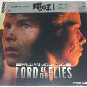 （ＬＤ：レーザーディスク）蠅の王 Lord of the Flies 監督：ハリー・フック【中古】の画像1