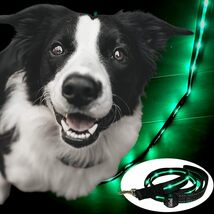 TERUI Lights 光る リード 犬 LED 充電式 USB ライト ペットの夜のお散歩に最適 1.2m 1サイズ 小型犬 中型犬 大型犬 用品 蛍光 (グリーン)_画像1