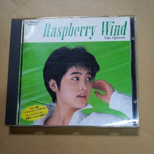 CD 荻野目洋子 yoko oginome ラズベリーの風 rasberry wind ダンシング・ヒーロー　english version