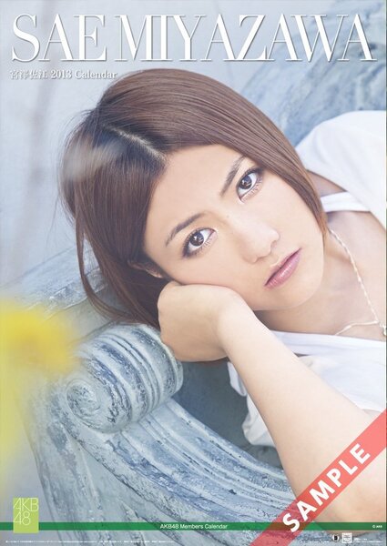 ◎新品未開封◎AKB48 宮澤 佐江 カレンダー 2013年 壁掛け B2サイズ/匿名配送/ゆうパック送料込み