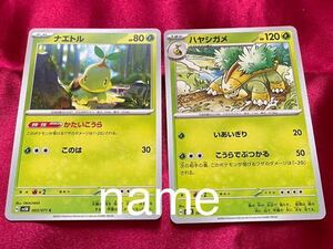 ポケモンカードゲーム スカーレット&バイオレット ワイルドフォース ナエトル ハヤシガメ 2枚セット ポケモン